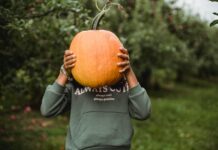 Domestic Violence: 1 in 5 Cases Involves Emotional Abuse, Study Reveals