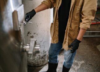 Research Finds One Beer Raises Blood-Alcohol Level to 0.02% After 90 Minutes