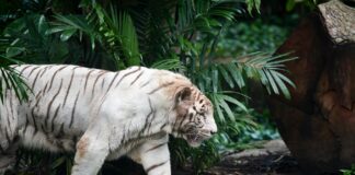 One in Five Women Experience Stalking, New Statistics Reveal Alarming Trend