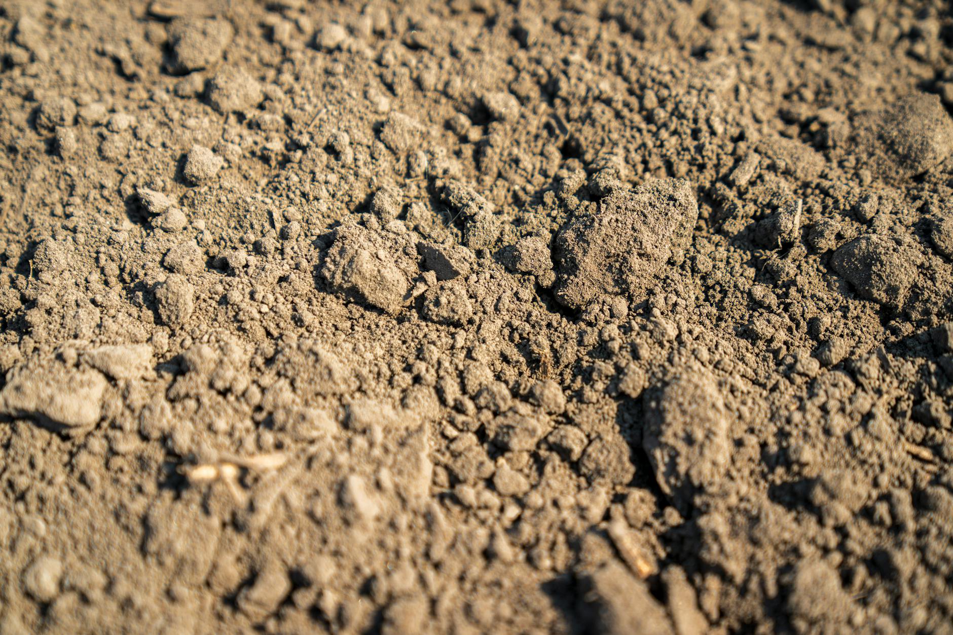 Navigating Resources and Support Systems Proves Crucial for Escape