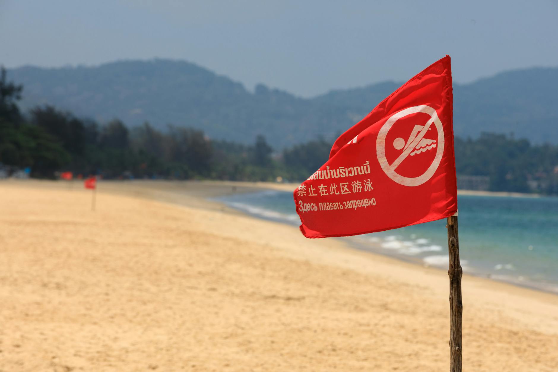 Detecting Insider Threats: Red Flags and Warning Signs