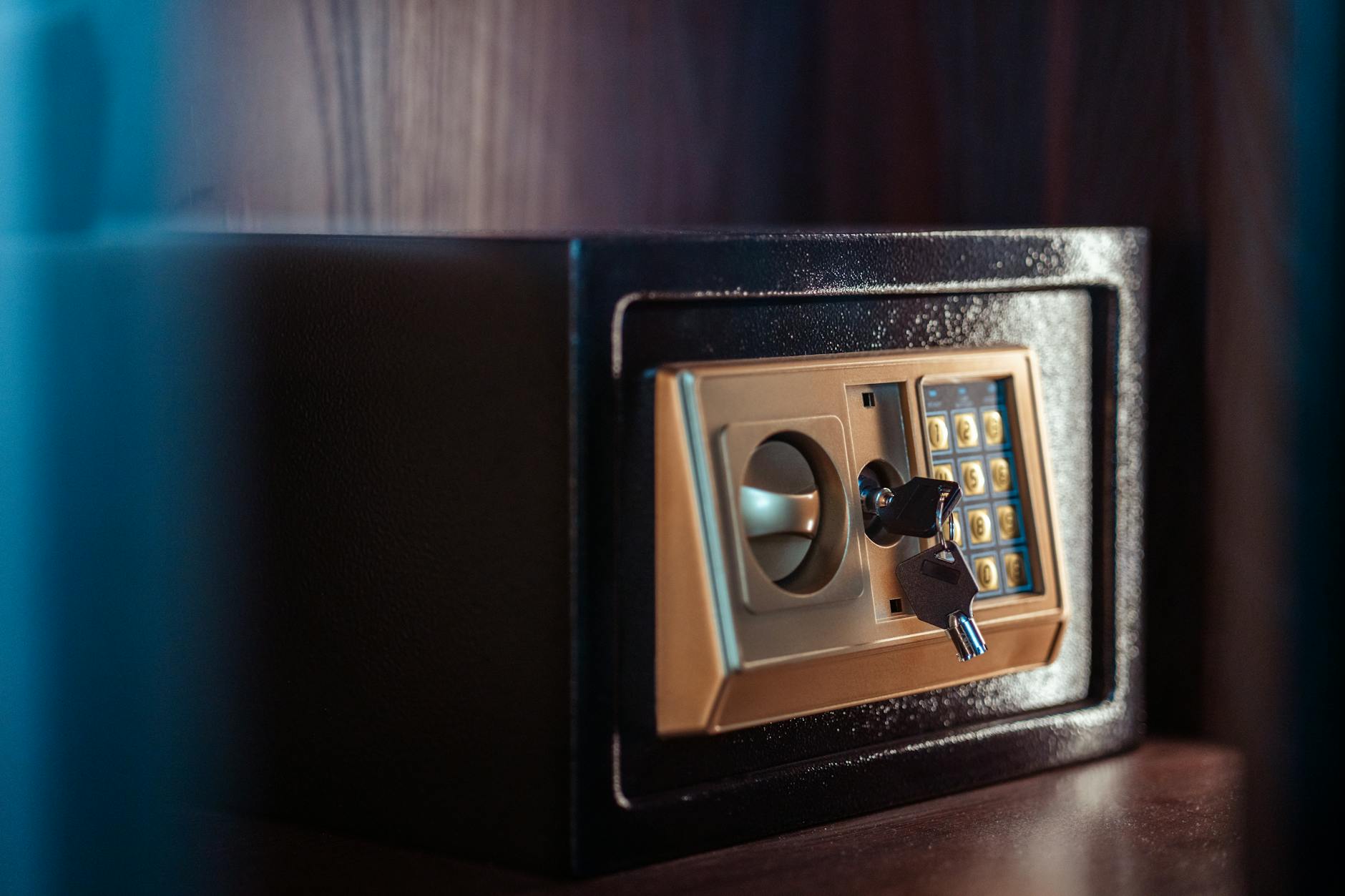 From Passion to Politics: How Safe Storage Laws Emerge