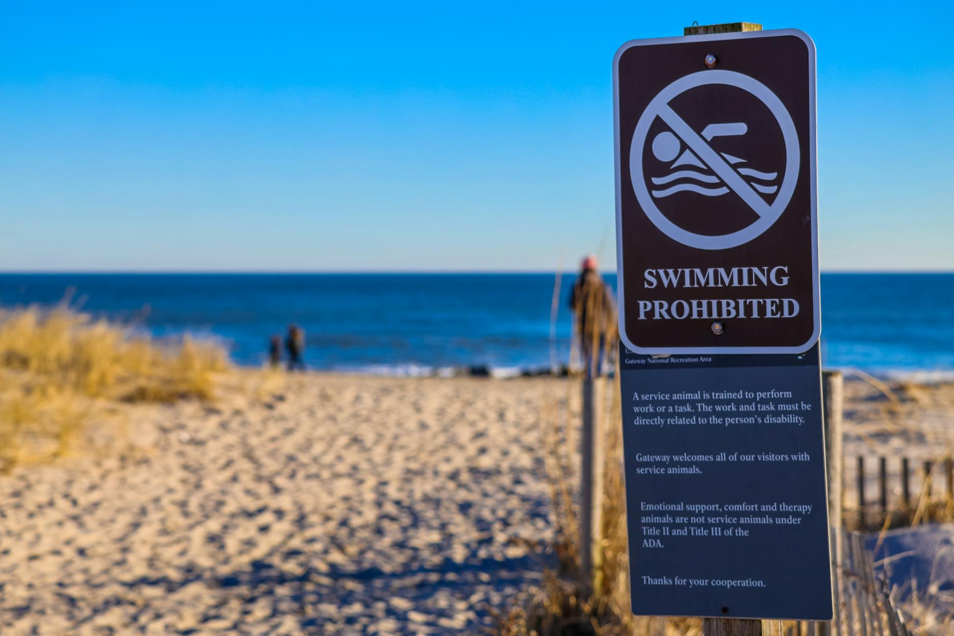 Loopholes and Grey Areas: State-by-State Regulations Explored