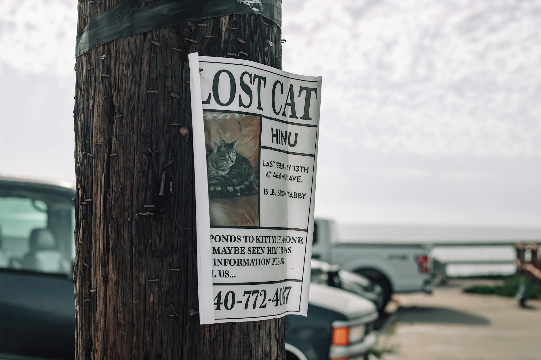 Most Missing Children Cases Do Not Involve Strangers