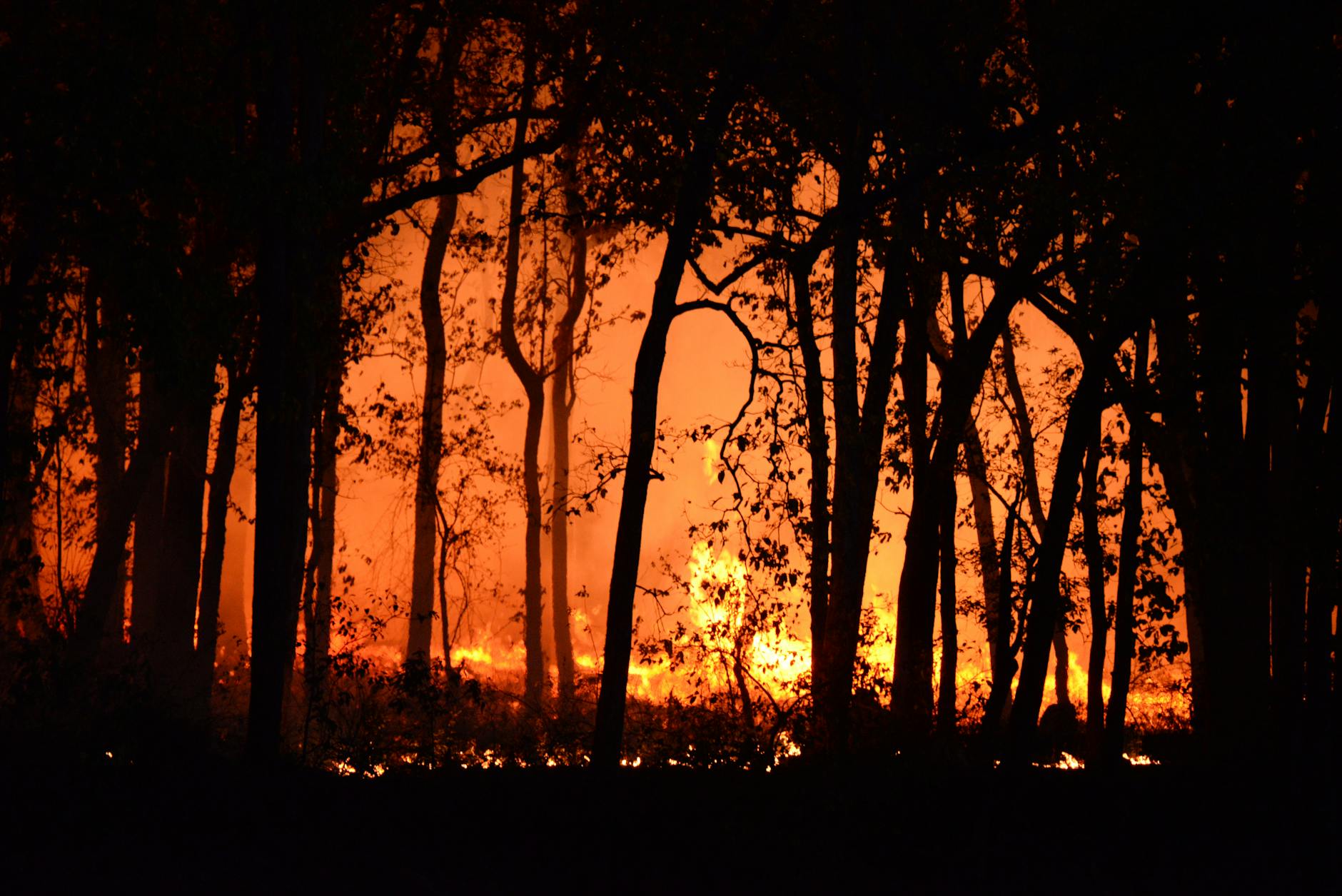 Moving Forward, Communities Can Learn from Past Wildfire Disasters