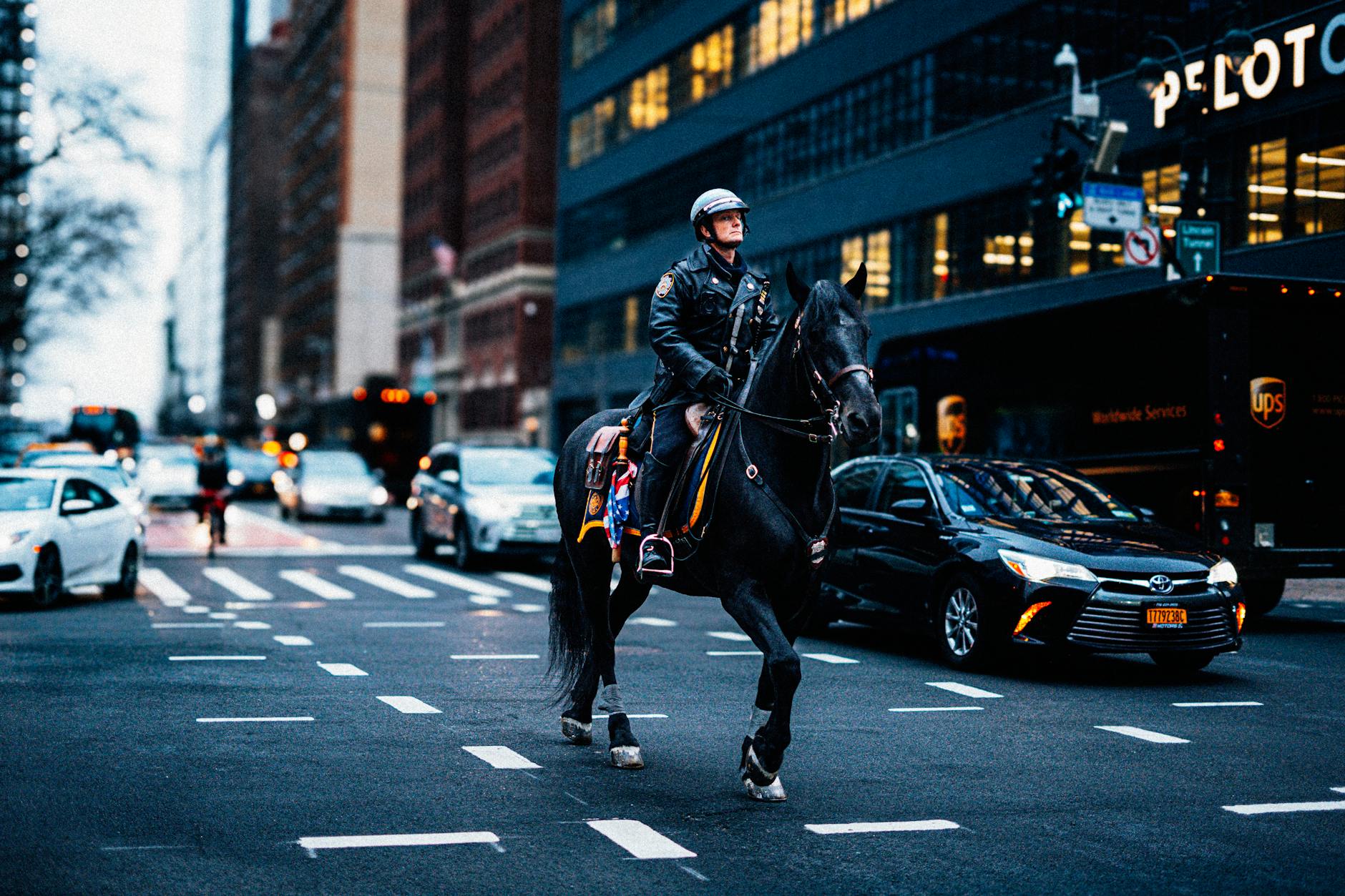 New York City's Experiment with Aggressive Policing