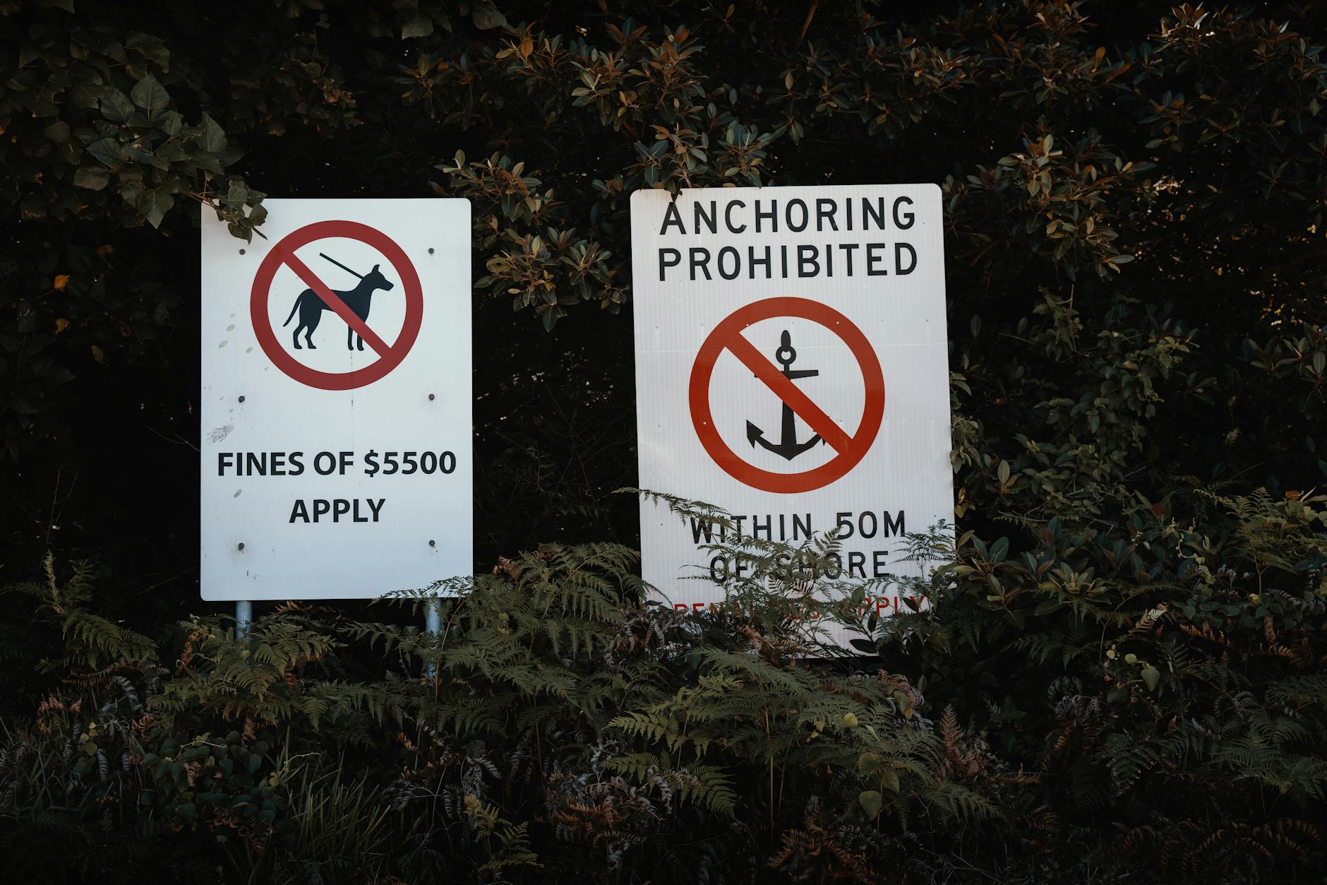 Repeat Offenders Face Steeper Fines and Penalties