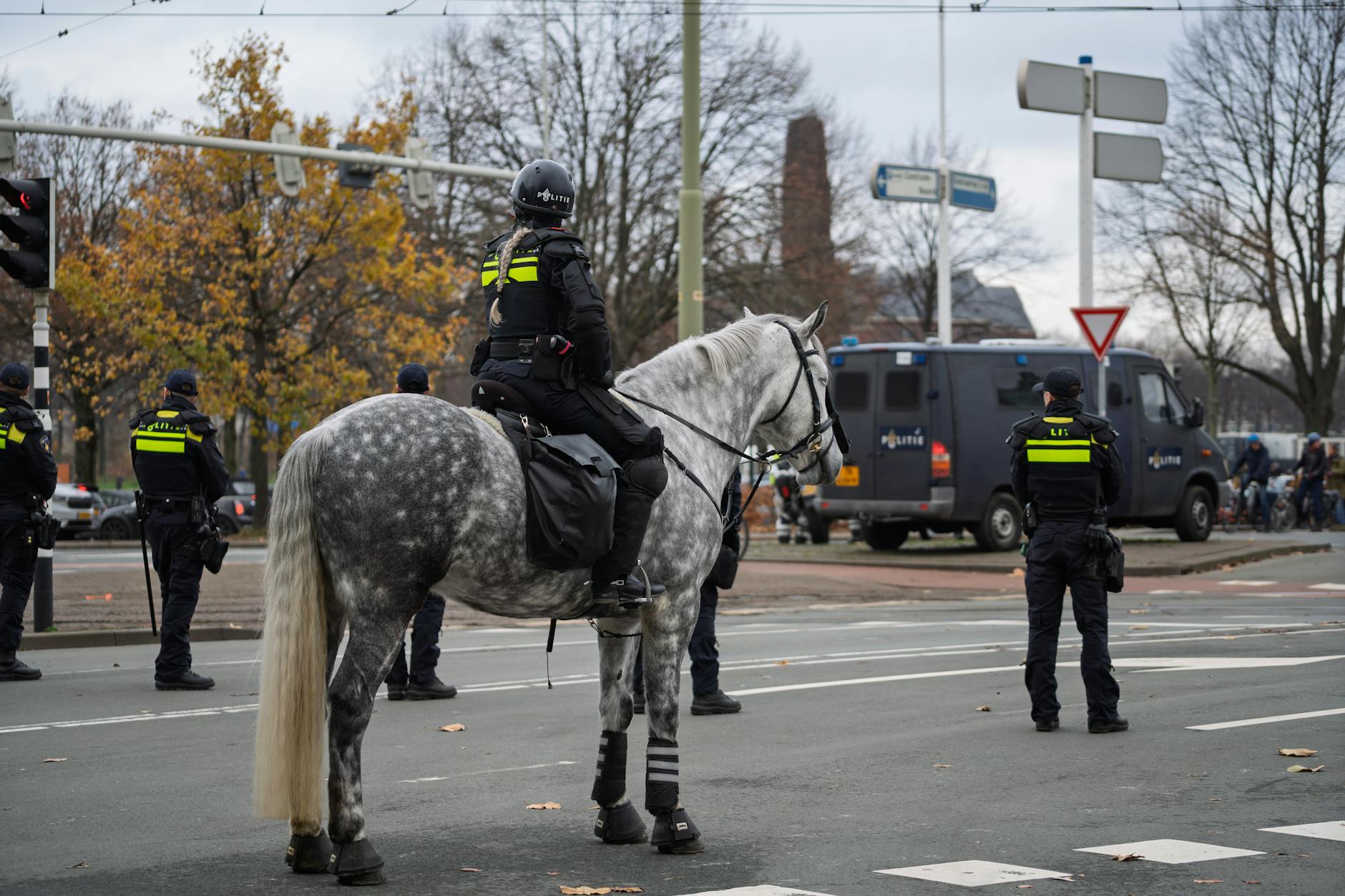 Stricter Laws and Enforcement Needed to Protect Consumers