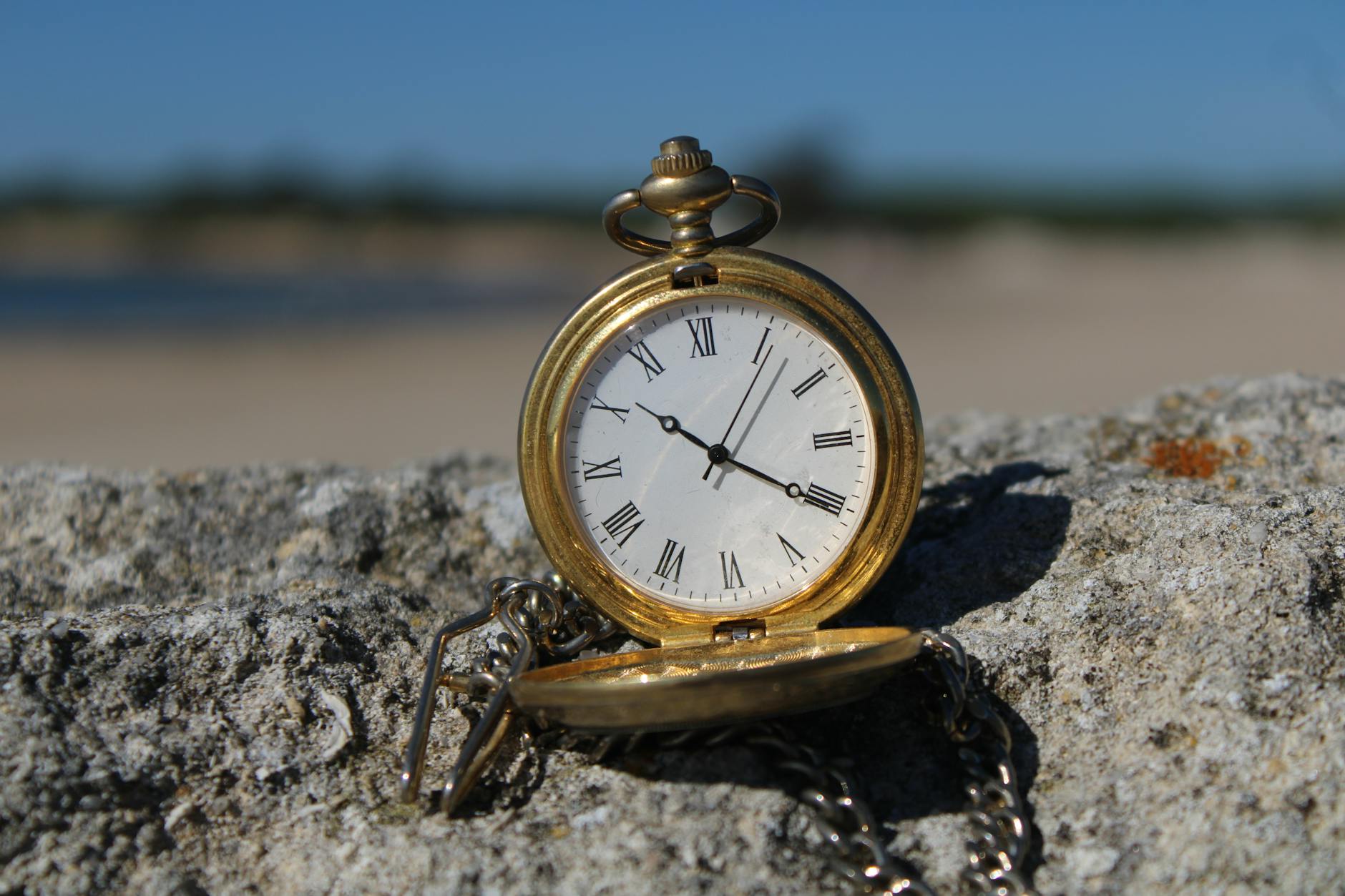 Thieves Target Unique Characteristics of Luxury Timepieces
