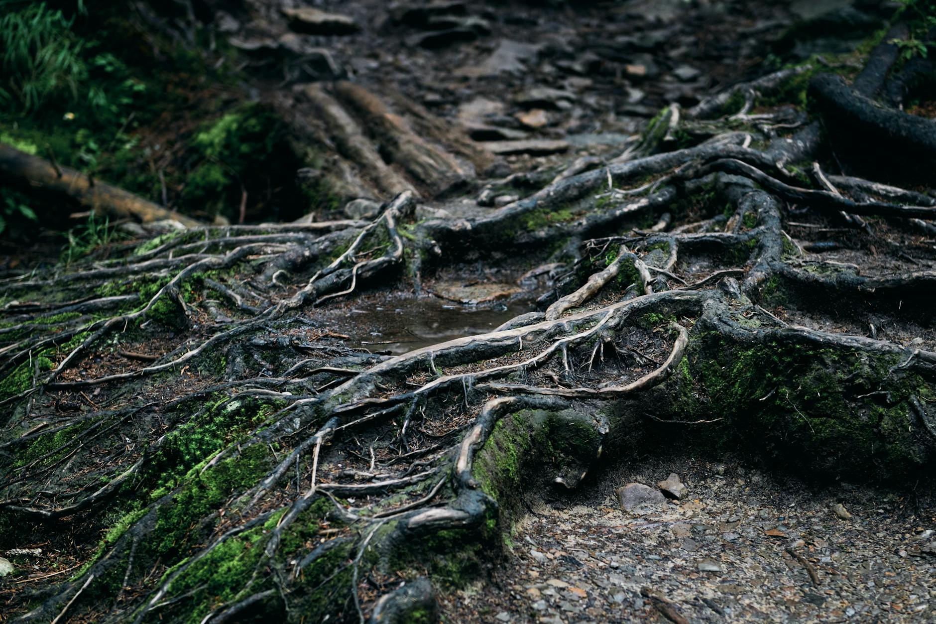 Addressing Root Causes Essential for Lasting Reform