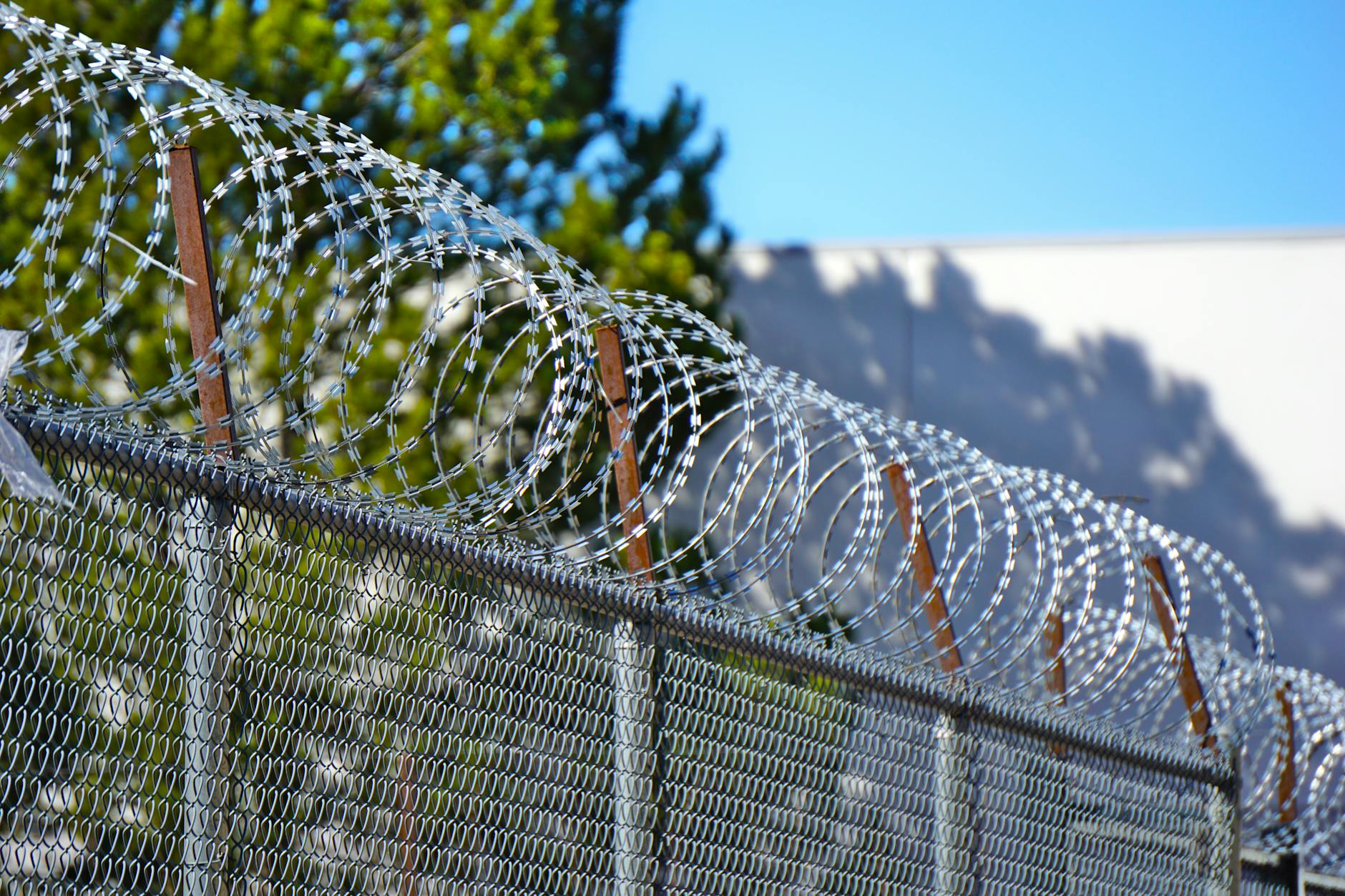Background on Protective Custody Provisions for Minors