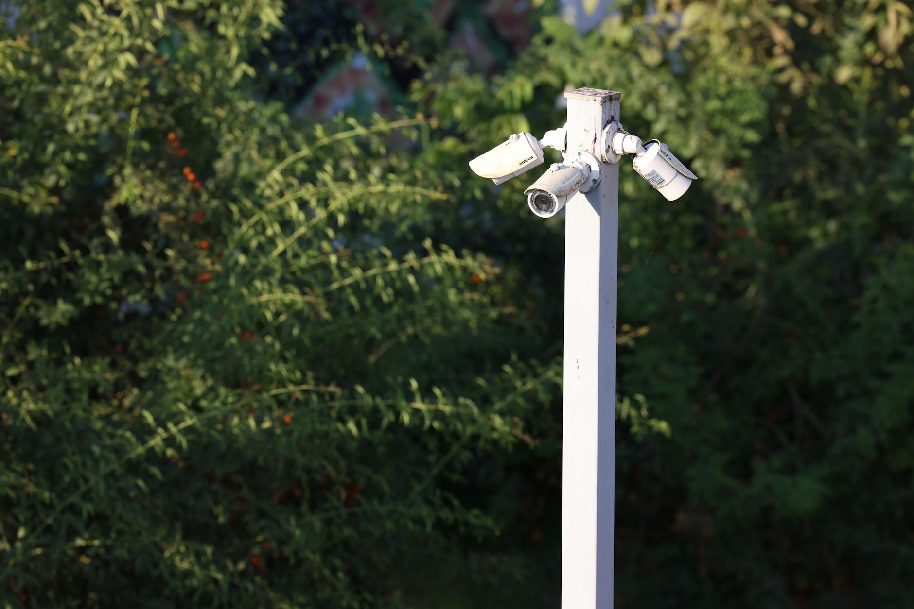 Camera-Rich Cities Grapple with Limited Crime Prevention Success