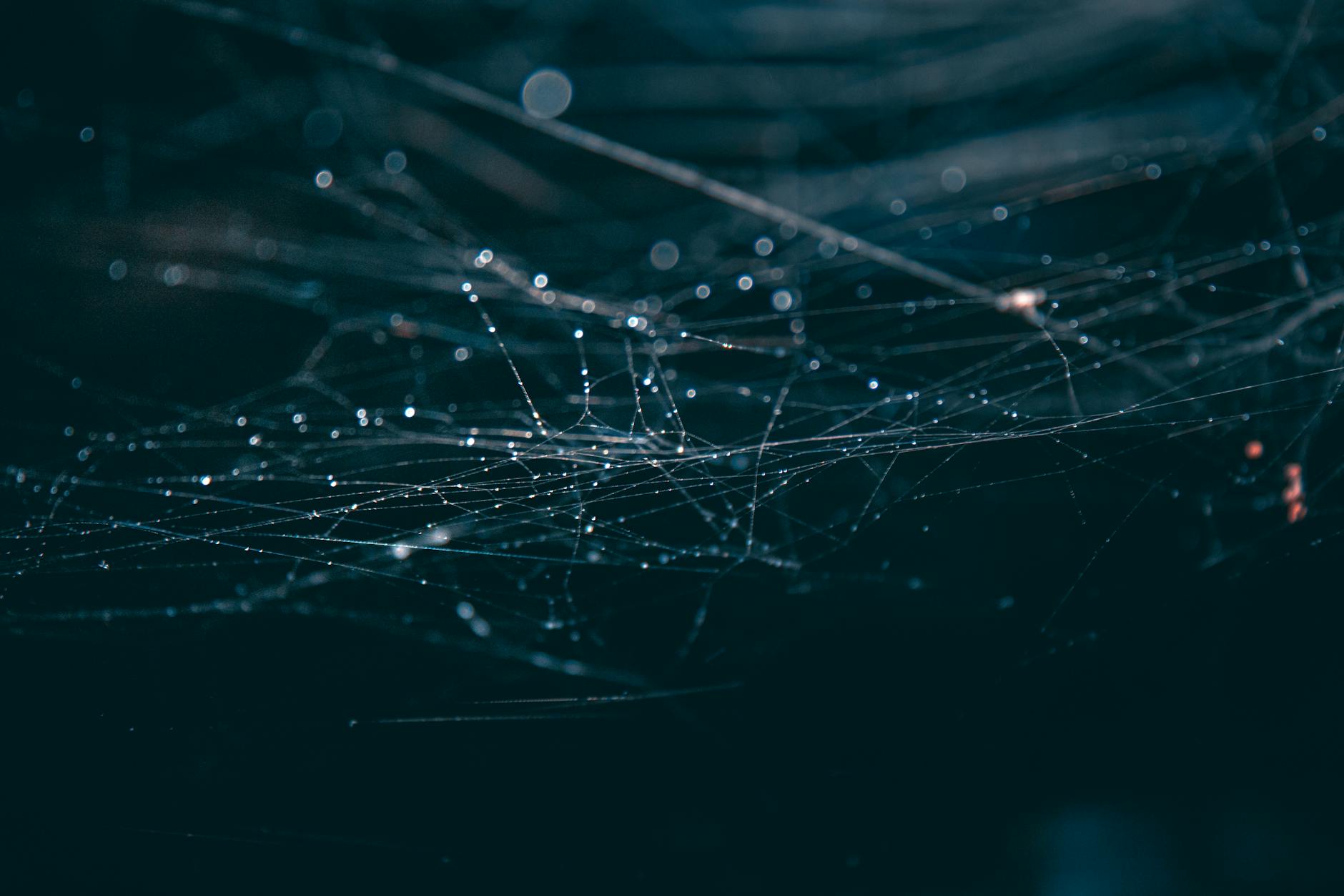 Causes of Overcrowding: A Complex Web of Factors