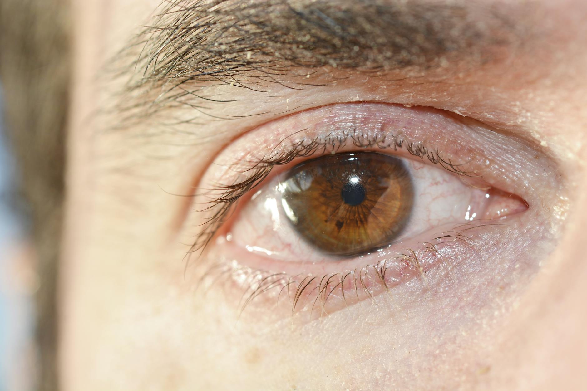Eyewitness Testimony: A Misconception Born from Misinformation