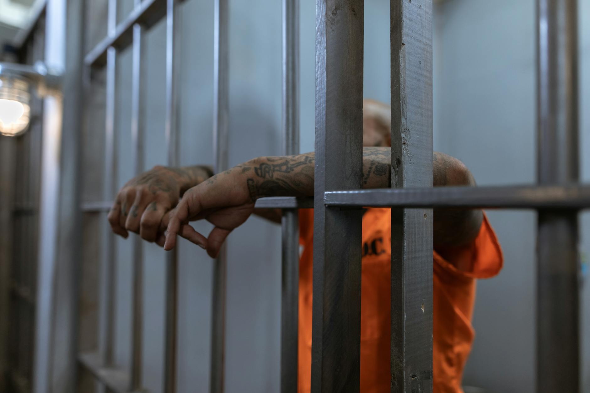 Inside the Walls: Public vs. Private Prisons' Living Conditions