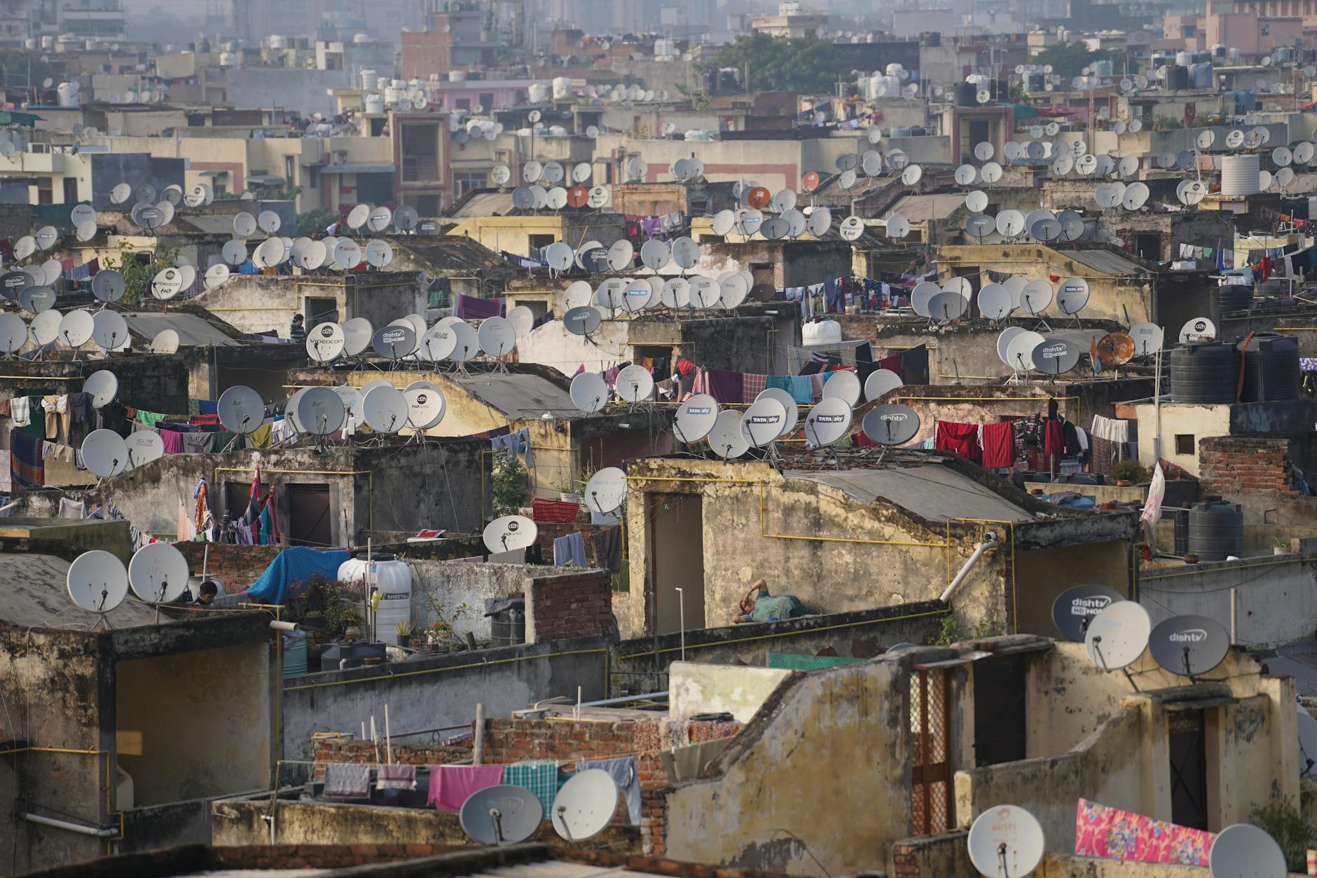 Life in Overcrowded Cells: Where Space is a Luxury