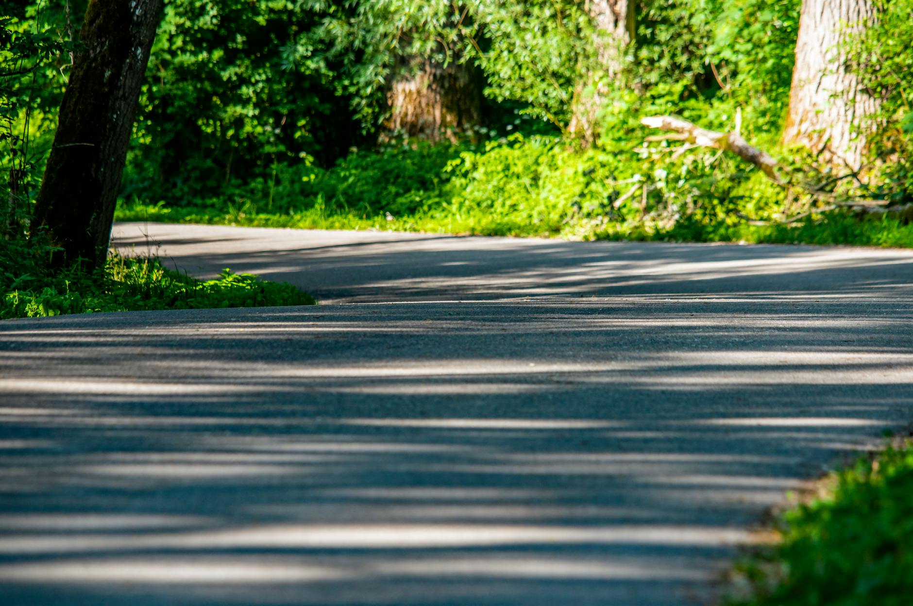 Paving the Way for a Smoother Transition Back Home