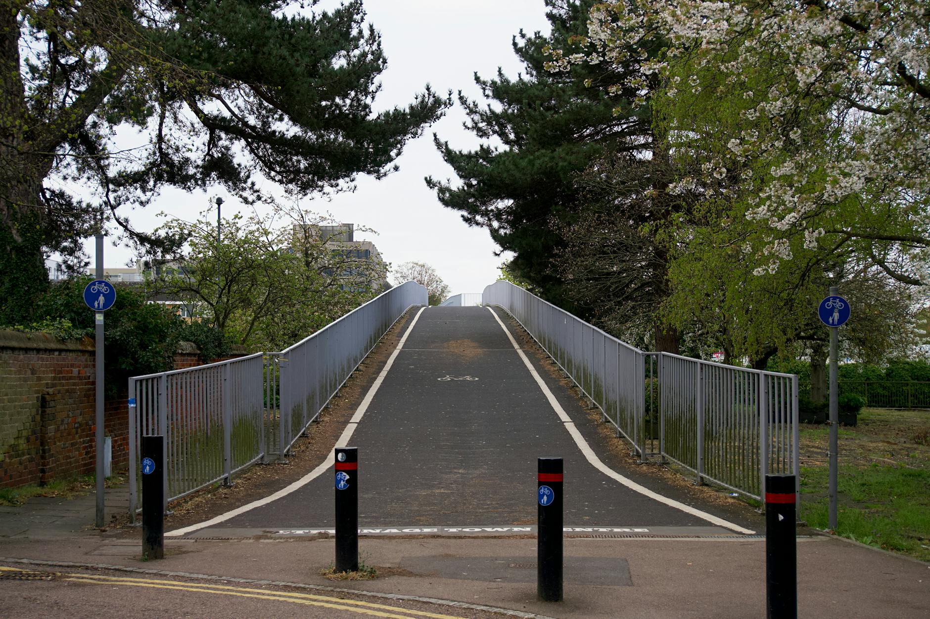 Practical Steps Taken During a Lockdown in Ruxton Road