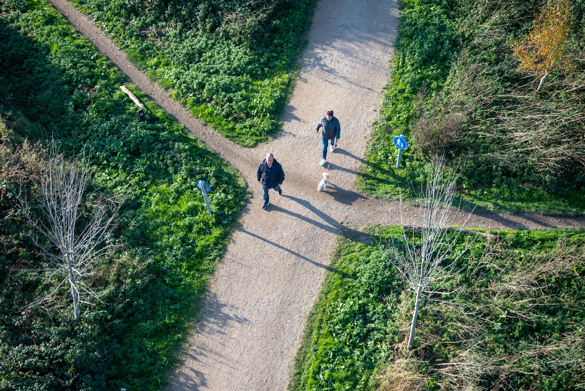 Recovering from Fines and Restitution: A Path to Rehabilitation