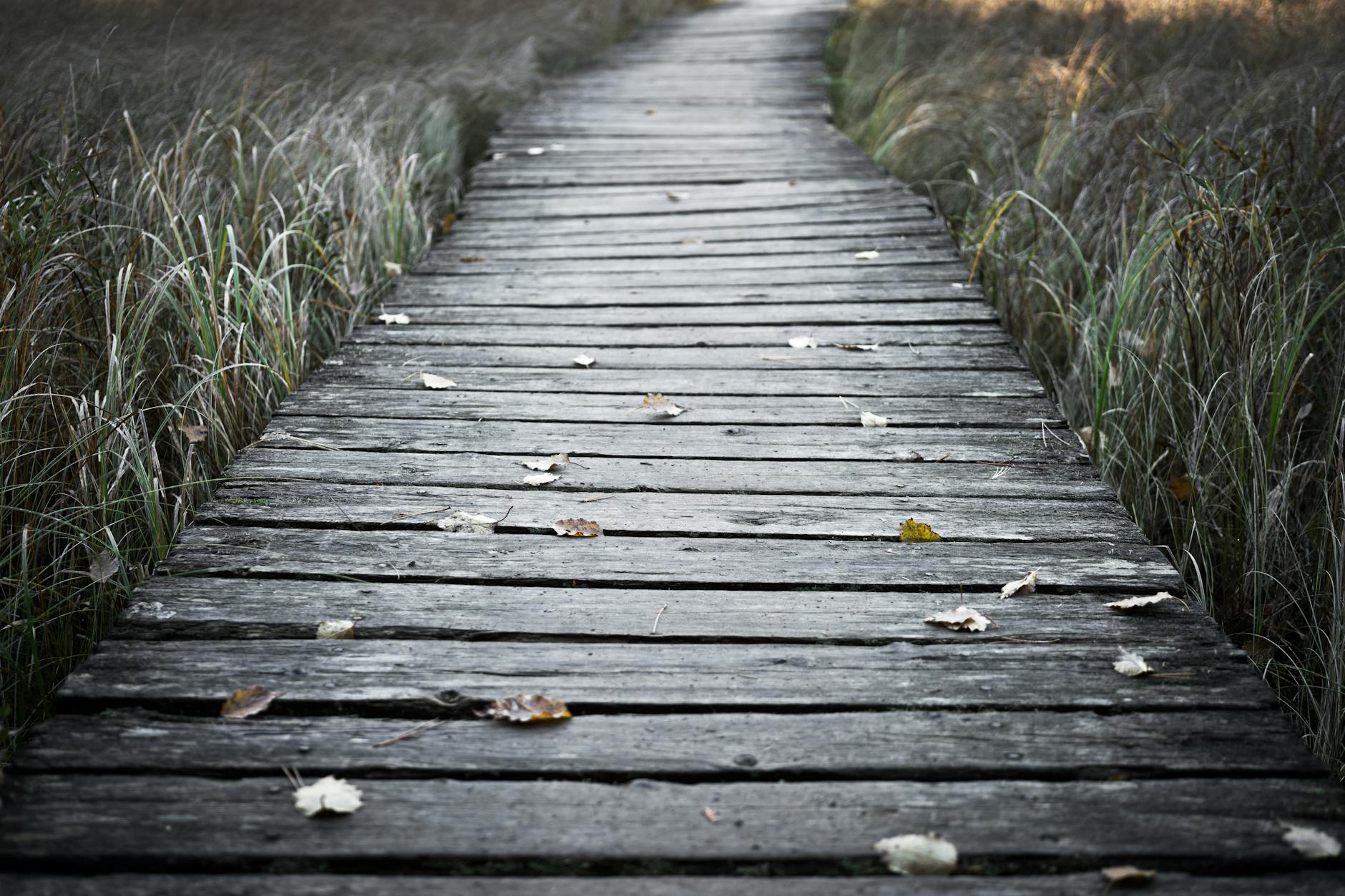 Understanding Expungement: A Path to a Clean Slate