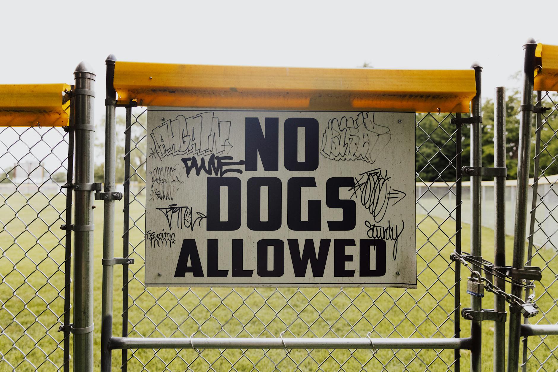 Parolee Supervision: Stricter Rules for a Safer Community